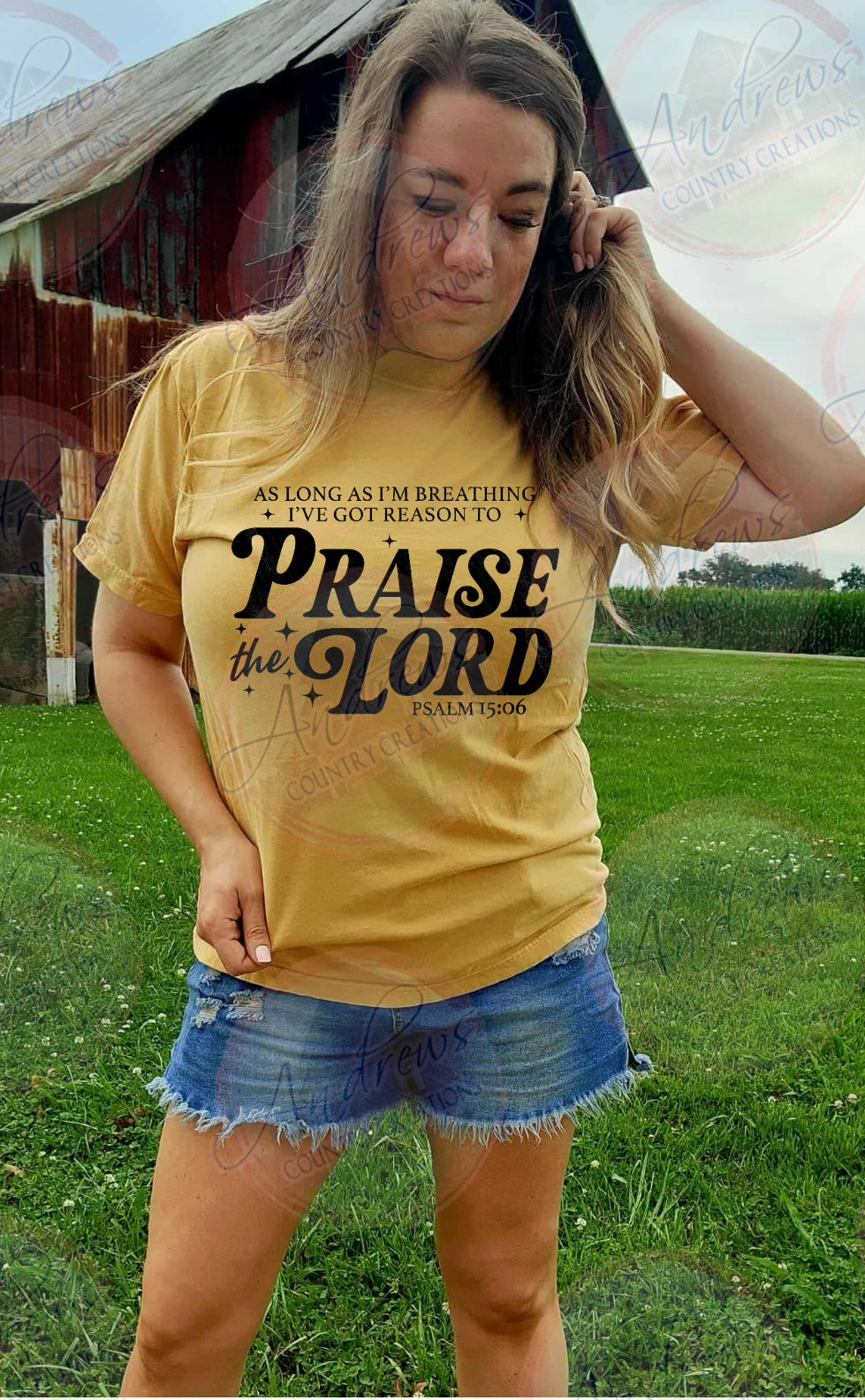 Praise the lord-comfort colors tee